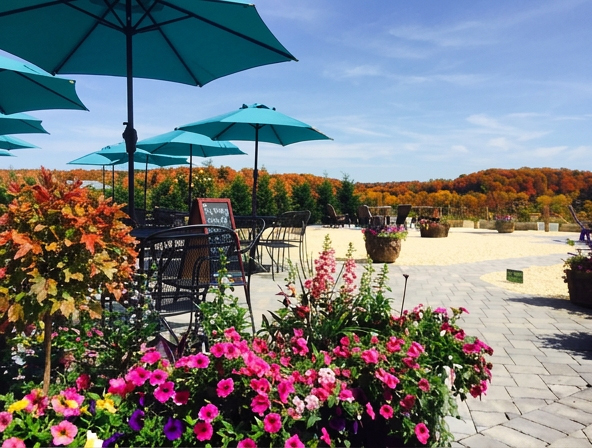 Fox Hollow Vineyard Fall